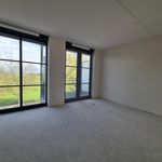 Rent 1 bedroom apartment of 50 m² in Kwadijk