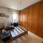 Rent 3 bedroom apartment of 100 m² in Paderno Dugnano