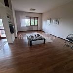 Affitto 5 camera appartamento di 240 m² in Pescara