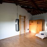Affitto 6 camera appartamento di 1100 m² in Bagno a Ripoli