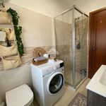 Rent 2 bedroom apartment of 50 m² in Terracina