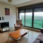 1 bedroom apartment of 85 m² in Gençlik
