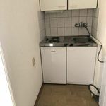 Rent 2 bedroom apartment of 30 m² in Graz