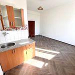 Rent 1 bedroom apartment of 30 m² in Kladno