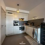 Rent 1 bedroom apartment of 51 m² in Tournai