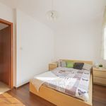 Rent 2 bedroom apartment of 47 m² in Poznan