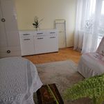 Rent 1 bedroom apartment of 20 m² in Łańcut