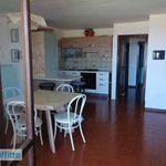 Rent 3 bedroom apartment of 110 m² in Arzachena