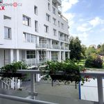 Rent 1 bedroom apartment of 2494 m² in Havířov