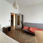 Affitto 4 camera appartamento di 140 m² in Torino