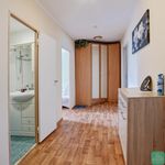 Rent 3 bedroom apartment of 66 m² in Teplice