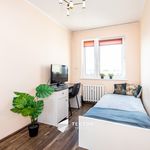 Rent 3 bedroom apartment of 54 m² in Poznań
