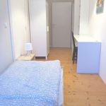 Rent a room of 126 m² in berlin