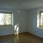 Rent a room of 50 m² in Freiburg im Breisgau