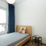 Rent 2 bedroom apartment of 34 m² in Bydgoszcz
