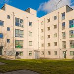 Rent 4 bedroom student apartment of 11 m² in Aberdeen