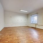 Rent 5 bedroom apartment of 140 m² in Plzeň