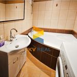 Rent 1 bedroom apartment of 40 m² in Konice