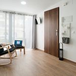Alquilo 1 dormitorio apartamento de 69 m² en València