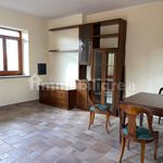 Rent 2 bedroom apartment of 80 m² in Ariccia