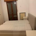 Rent 1 bedroom apartment in Cologno Monzese