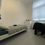 Huur 1 slaapkamer appartement van 49 m² in Maastricht