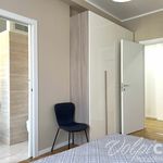 Rent 2 bedroom apartment of 76 m² in Milano