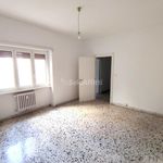Rent 1 bedroom apartment of 77 m² in Roma