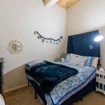 Rent 1 bedroom apartment in Columbia