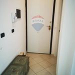 Affitto 3 camera appartamento di 85 m² in Bologna