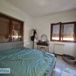 Affitto 2 camera appartamento di 64 m² in Roma