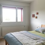 3½ room attic apartment (penthouse) in Adlikon b. Regensdorf (ZH), furnished, temporary