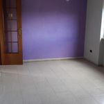 Rent 3 bedroom apartment in Frosinone