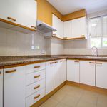 Rent 2 bedroom apartment of 73 m² in Xàtiva