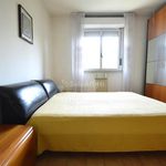 Rent 2 bedroom apartment of 110 m² in Rozzano