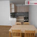 Rent 1 bedroom apartment of 42 m² in Příbram