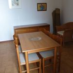Rent 1 bedroom apartment of 28 m² in Novara