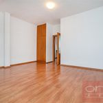 Rent 1 bedroom house of 320 m² in Praha