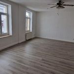 Rent 1 bedroom apartment of 7624 m² in Plauen