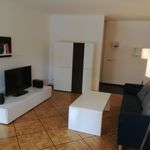 Rent 1 bedroom apartment of 732 m² in Bern