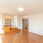 Rent 1 bedroom house of 300 m² in Prague