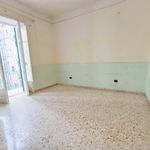 Rent 2 bedroom apartment of 55 m² in Casoria