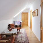 Rent 1 bedroom house of 1800 m² in Kamenný Újezd