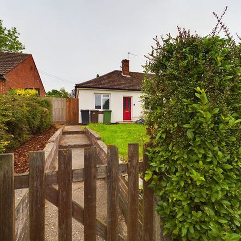 Semi-detached bungalow to rent in New Sporle Road, Swaffham PE37 Tumbler Hill