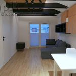 Wynajmij 1 sypialnię apartament z 42 m² w Myślenice