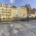 Rent 1 bedroom apartment of 80 m² in Karlovy Vary