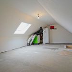 Huur 3 slaapkamer huis van 500 m² in Buggenhout