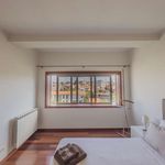 Rent a room of 120 m² in porto