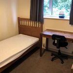 Rent 6 bedroom apartment in Hatfield