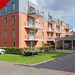 Rent 3 bedroom apartment of 58 m² in Wasquehal